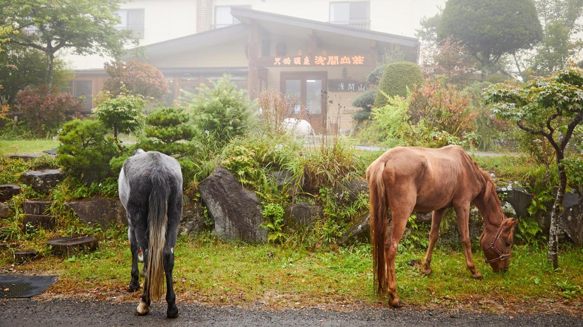 Tengu Onsen Asama Sanso Hotel Komoro Exterior photo